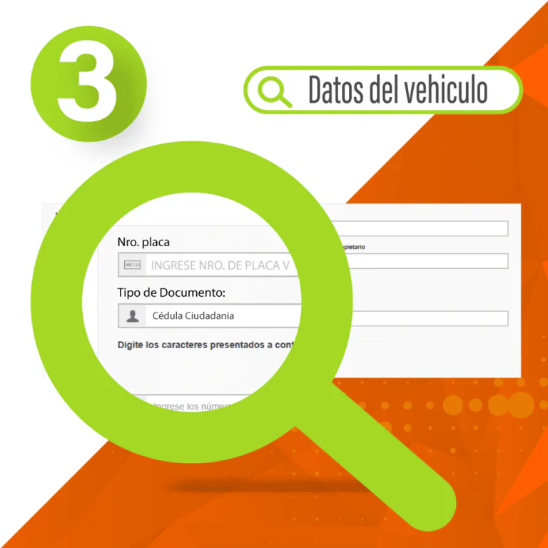 3. Datos del Vehiculo